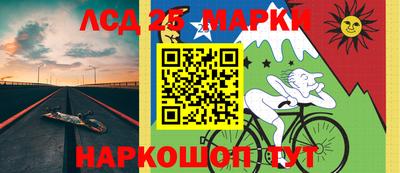 амф Новодвинск