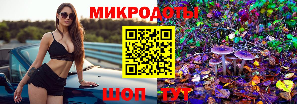 Галлюциногенные грибы Psilocybe Тосно