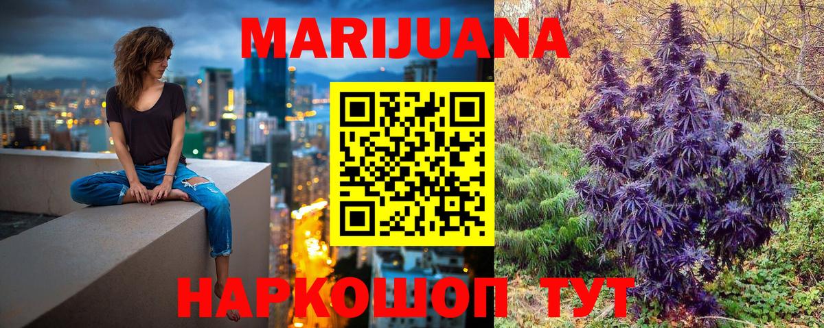 Тосно  Марихуана Bruce Banner  Канабис тримм  Вход с VPN  МАРИХУАНА Amnesia  МАРИХУАНА Bruce Banner 